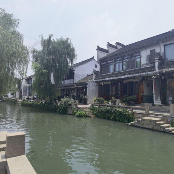 在奶茶店喝奶茶突然有顾客奶茶里掉进了虫子该怎么处理？